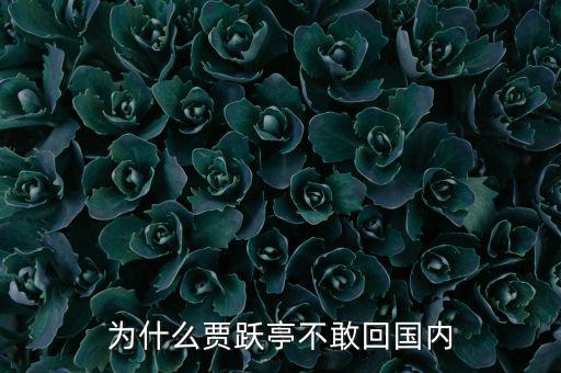 賈躍亭為什么跑到國外,為什么賈躍亭不敢回國內(nèi)