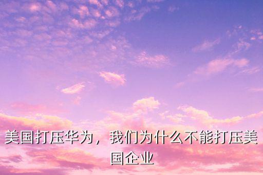美國打壓華為，我們?yōu)槭裁床荒艽驂好绹髽I(yè)