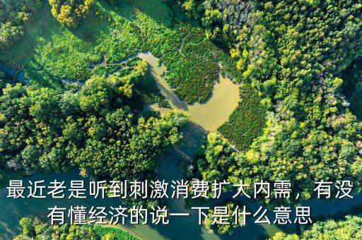 最近老是聽到刺激消費(fèi)擴(kuò)大內(nèi)需，有沒(méi)有懂經(jīng)濟(jì)的說(shuō)一下是什么意思