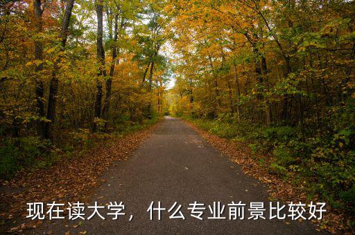 現(xiàn)在讀大學(xué)，什么專業(yè)前景比較好