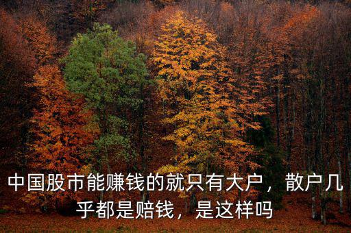中國(guó)股市能賺錢的就只有大戶，散戶幾乎都是賠錢，是這樣嗎