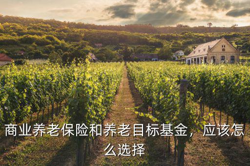 商業(yè)養(yǎng)老保險和養(yǎng)老目標基金，應(yīng)該怎么選擇