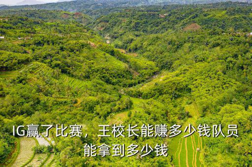 王思聰一年能賺多少錢,王校長能賺多少錢