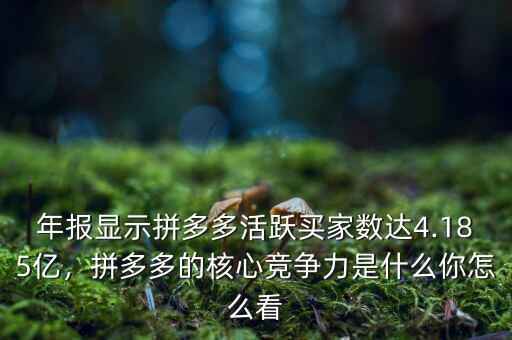 年報(bào)顯示拼多多活躍買家數(shù)達(dá)4.185億，拼多多的核心競爭力是什么你怎么看
