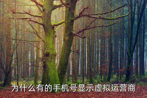 為什么有的手機(jī)號顯示虛擬運(yùn)營商