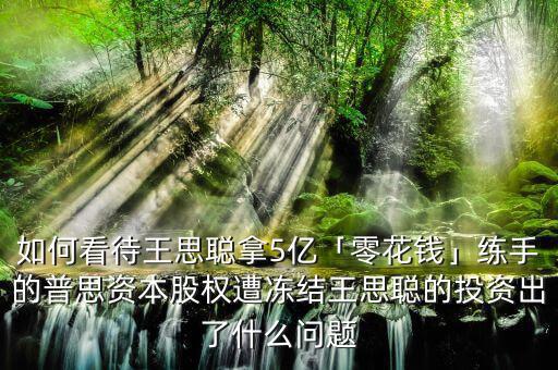 王思聰為什么投了這么好的胎,王思聰的投資出了什么問題