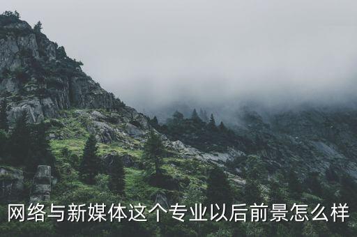 新數(shù)網(wǎng)絡怎么樣,數(shù)字媒體藝術考研怎么樣