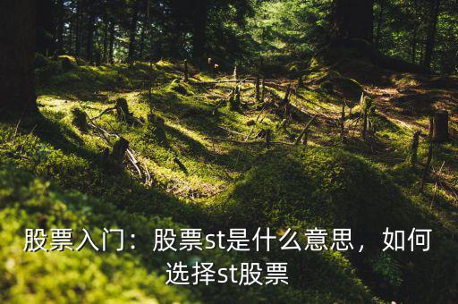 股票入門：股票st是什么意思，如何選擇st股票