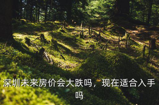 深圳房?jī)r(jià)什么時(shí)候崩盤(pán),深圳的房?jī)r(jià)什么時(shí)候能下來(lái)