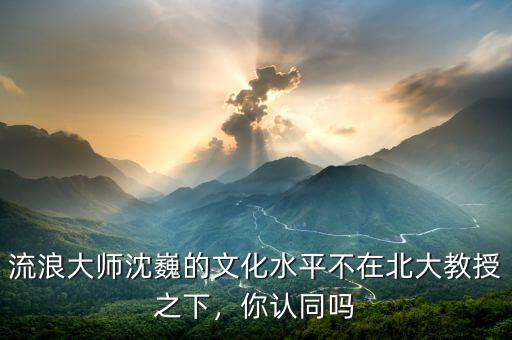 流浪大師沈巍的文化水平不在北大教授之下，你認同嗎