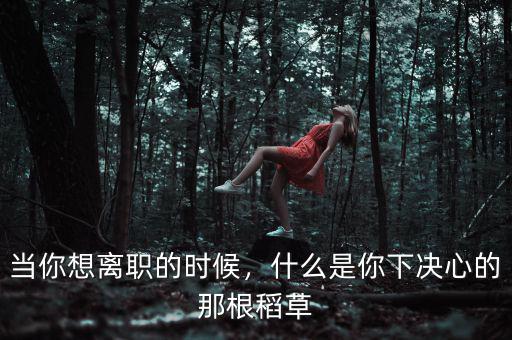 第二根稻草指的是什么,什么是你下決心的那根稻草