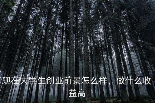 現(xiàn)在大學(xué)生創(chuàng)業(yè)前景怎么樣，做什么收益高
