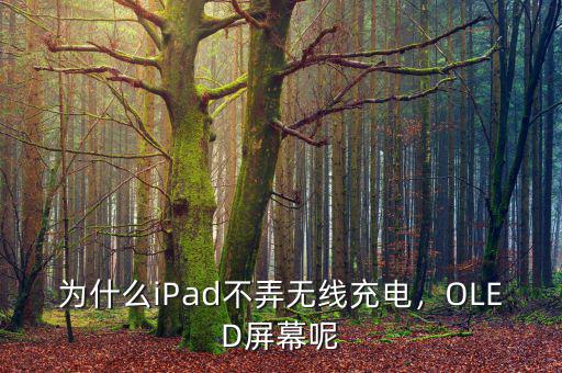 蘋果為什么不用oled,蘋果的oled屏幕傷眼嗎