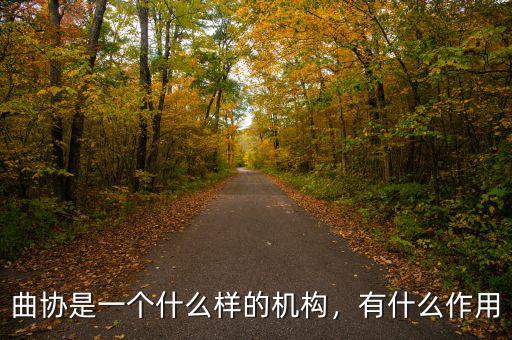 兩個換置機(jī)構(gòu)又什么養(yǎng)的作用,曲協(xié)是一個什么樣的機(jī)構(gòu)