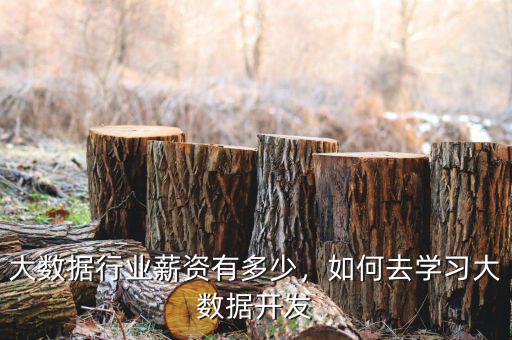 大數(shù)據(jù)工資大概多少,如何去學(xué)習(xí)大數(shù)據(jù)開(kāi)發(fā)