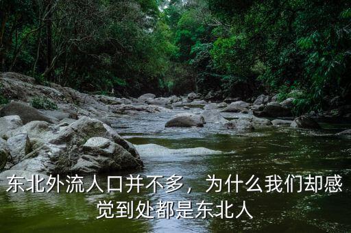 東北外流人口并不多，為什么我們卻感覺(jué)到處都是東北人