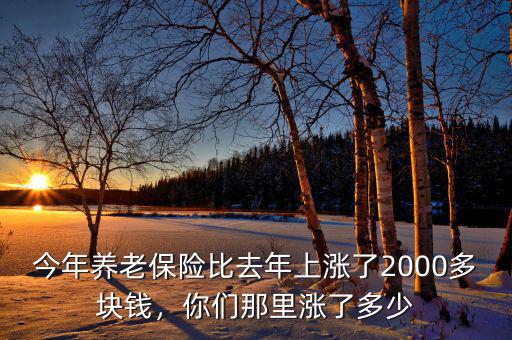 今年養(yǎng)老保險(xiǎn)比去年上漲了2000多塊錢，你們那里漲了多少
