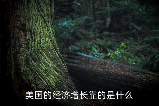 美國經(jīng)濟(jì)模式是什么,美國的經(jīng)濟(jì)增長(zhǎng)靠的是什么