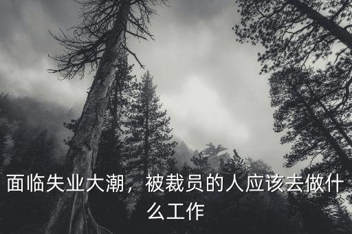 面臨失業(yè)大潮，被裁員的人應(yīng)該去做什么工作