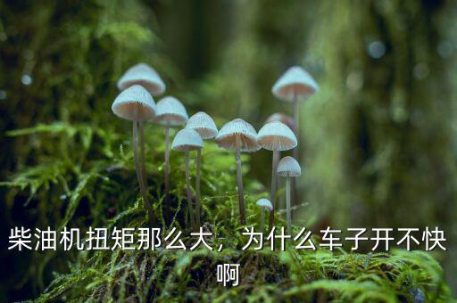 汽車為什么跑不快,為什么車子開(kāi)不快啊