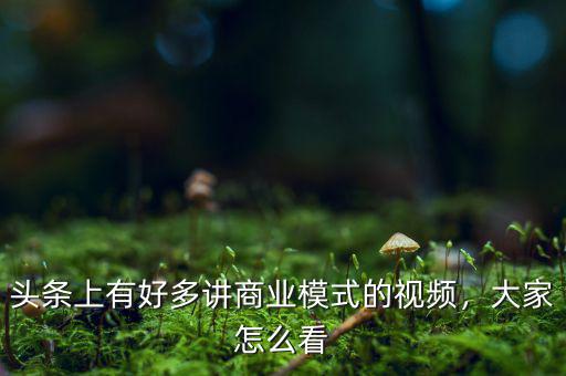 頭條上有好多講商業(yè)模式的視頻，大家怎么看