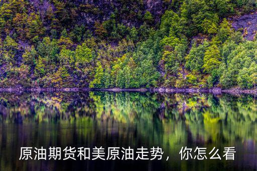 原油期貨和美原油走勢(shì)，你怎么看