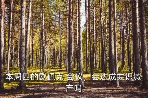 G20會議達成什么共識,會達成共識減產嗎