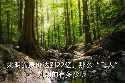 姚明的身價達(dá)到22億，那么“飛人”劉翔的有多少呢