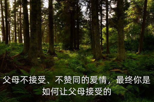 怎么說服父母接受裸婚,你怎樣說服父母接受你的對(duì)象