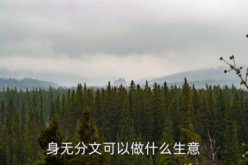 身無(wú)分文可以做什么生意