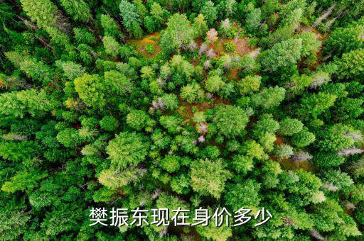 紀(jì)學(xué)鋒身價(jià)多少,陳夢現(xiàn)在身價(jià)多少