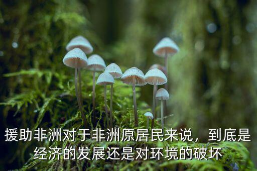 援助非洲對于非洲原居民來說，到底是經(jīng)濟(jì)的發(fā)展還是對環(huán)境的破壞