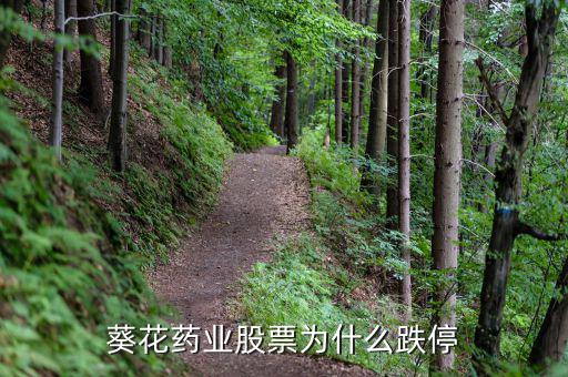 上?？ㄋ帢I(yè)處方賺多少錢,在上海投資開藥店要多少錢