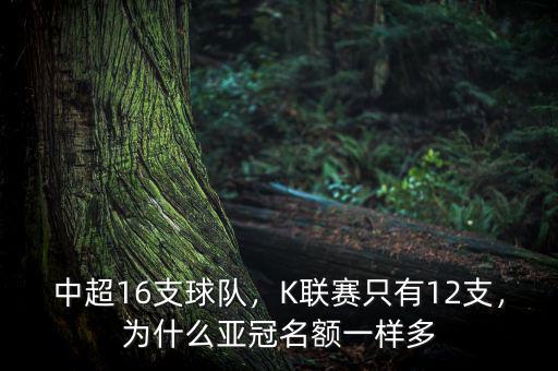 中超為什么只有16支球隊,中超十六支球隊