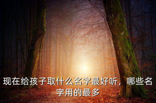 馮佳什么名字好聽,現(xiàn)在給孩子取什么名字最好聽