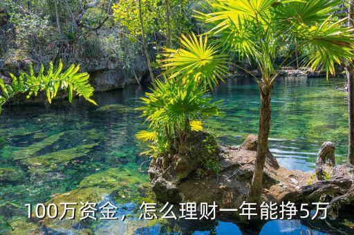 100萬(wàn)資金，怎么理財(cái)一年能掙5萬(wàn)