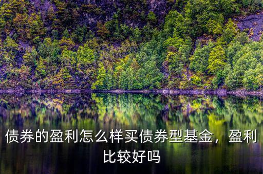 債券的盈利怎么樣買債券型基金，盈利比較好嗎