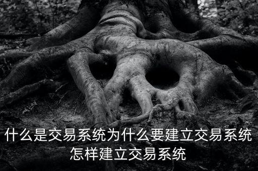 九鼎交易系統(tǒng)是什么,交易系統(tǒng)成熟的標準是什么