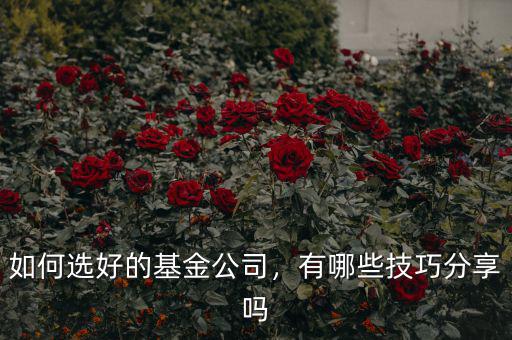 如何選好的基金公司，有哪些技巧分享嗎