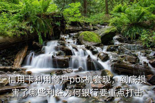 信用卡套現(xiàn)干什么,經常信用卡套現(xiàn)會有什么后果