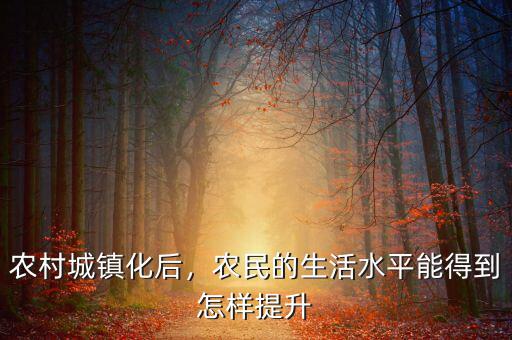 農(nóng)村城鎮(zhèn)化后，農(nóng)民的生活水平能得到怎樣提升