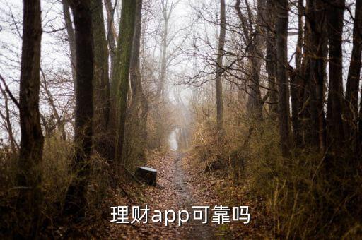 什么理財app比較可靠,理財app可靠嗎