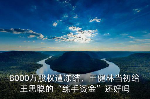 8000萬股權(quán)遭凍結(jié)，王健林當(dāng)初給王思聰?shù)摹熬毷仲Y金”還好嗎