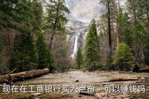 現(xiàn)在在工商銀行買入盧布，可以賺錢嗎
