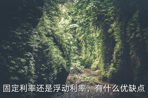 固定利率還是浮動利率，有什么優(yōu)缺點(diǎn)