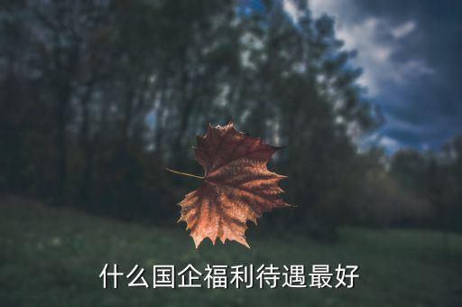 什么類型的國企最好,什么國企福利待遇最好