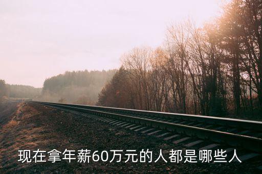 什么人是年薪,年薪50萬(wàn)以上的人