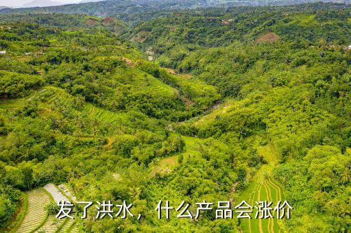 發(fā)了洪水，什么產(chǎn)品會(huì)漲價(jià)