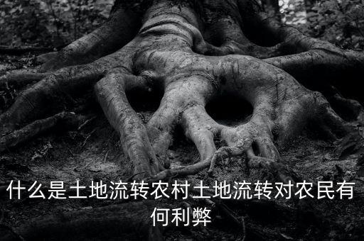什么是土地流轉,什么是土地流轉