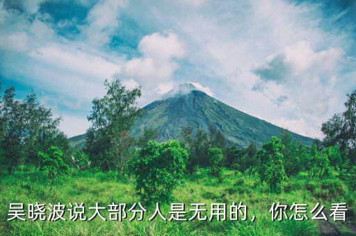 吳曉波說大部分人是無用的，你怎么看